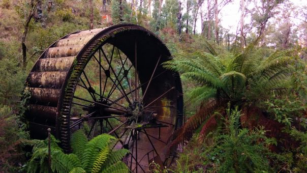 A large old waterwheel among ferns