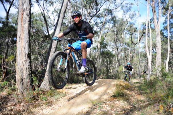 Two people ride mountain bikes on a rocky path among trees