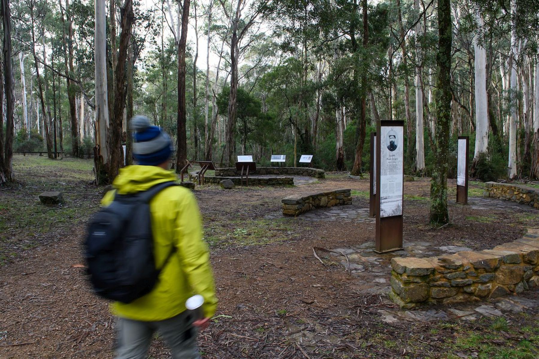 A man walks past signage about the Ned Kelly gang in the bush.