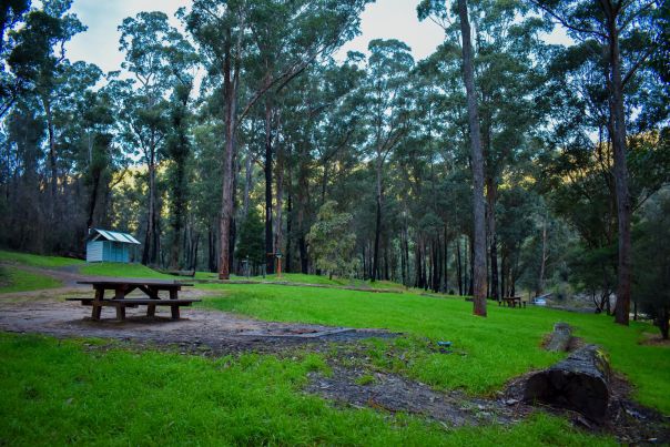 A wooden picnic bench, toilet and firepits scattered around a grassy spot