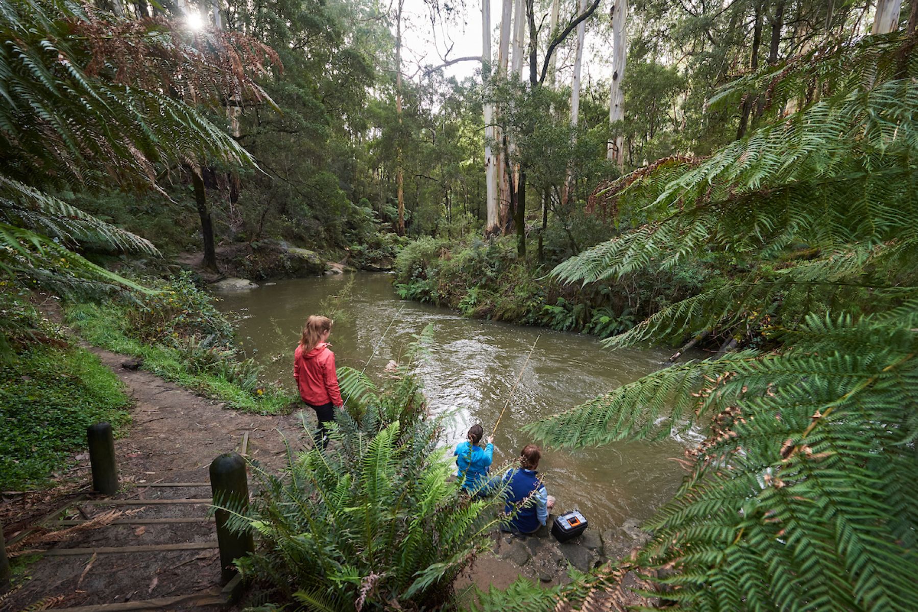 Three people fishing in Gellibrand River at Dando's Campground.