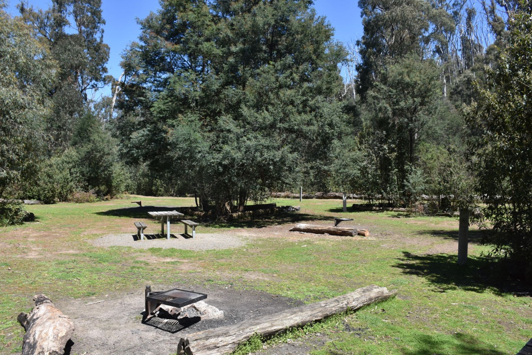 A grassy area with fire pits and a picnic table among trees