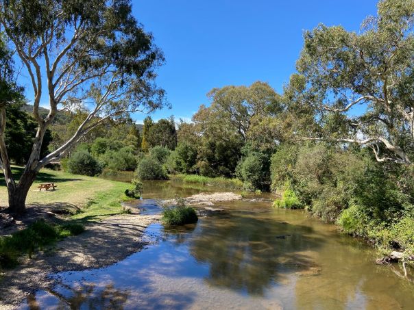 The Delatite River