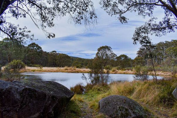 A small body of water in a grassy plain