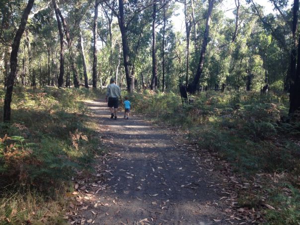 A man and a small child walking on a trail through the forest