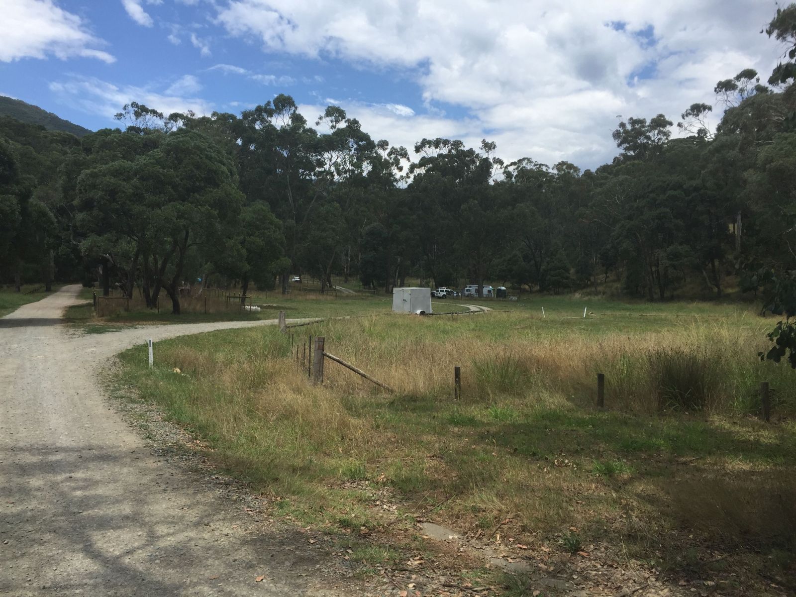 A gravel road leading into a grassy campground surrounded by trees