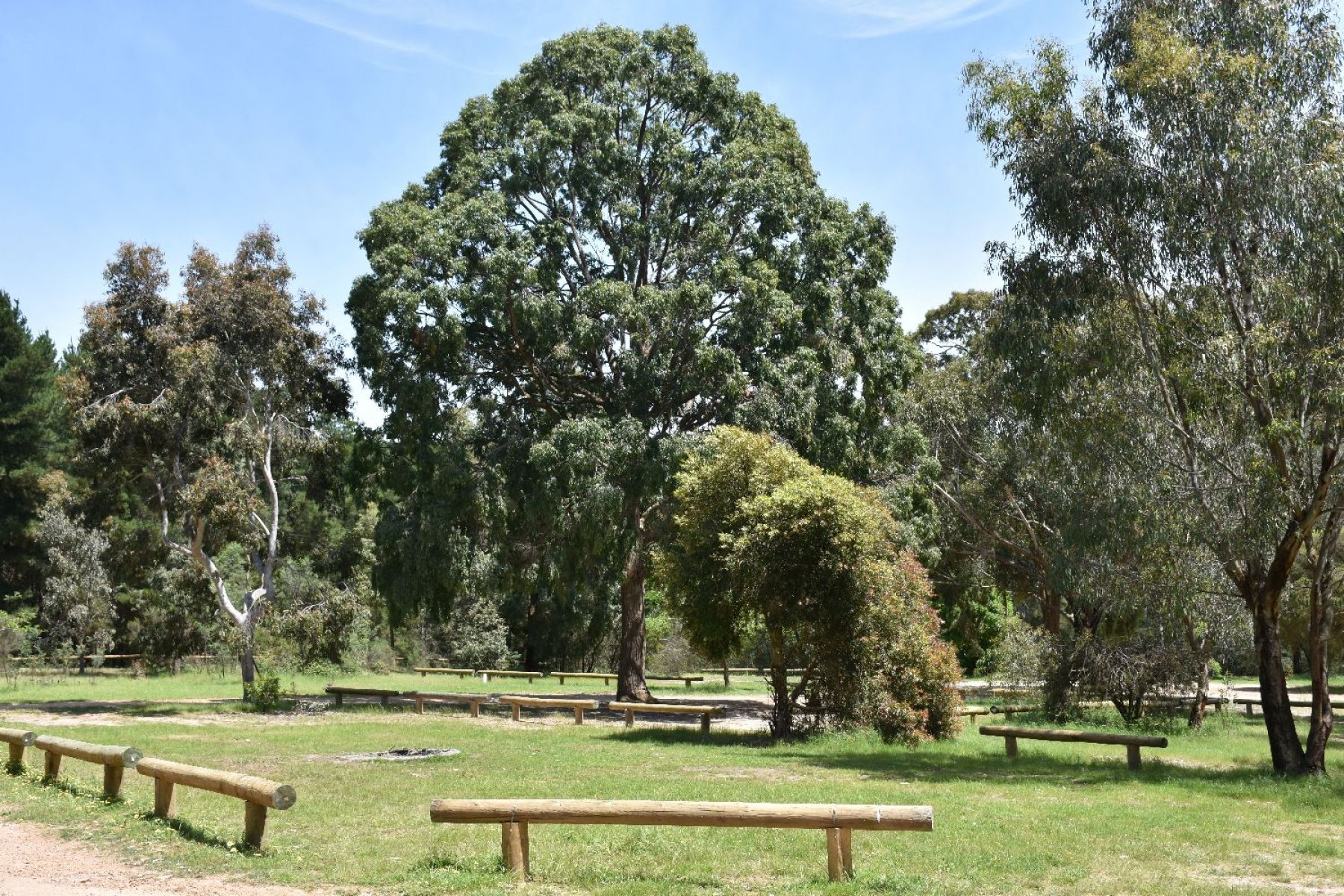 A fire pit in the middle of a grassy clearing on the campsite, available for use by campers. 