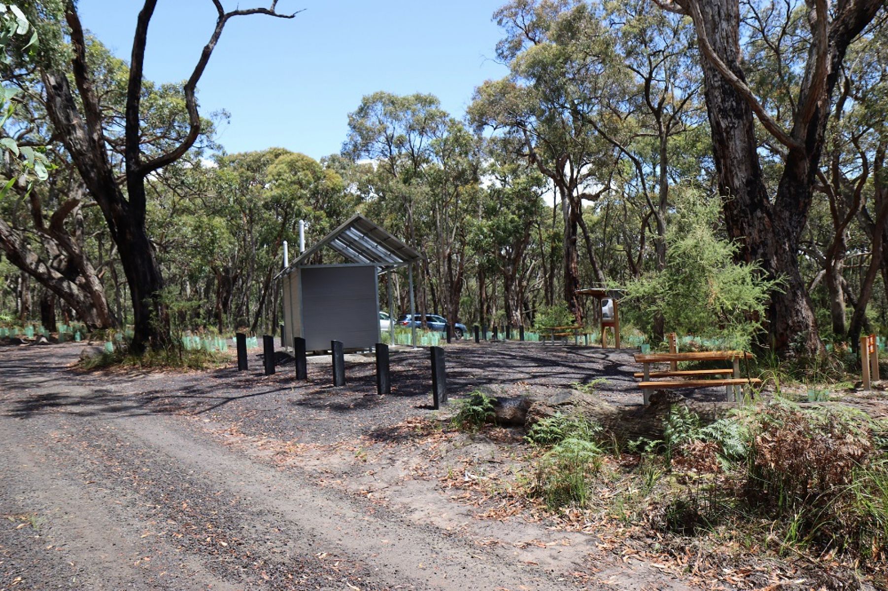 Vehicle track and toilet surrounded by forest