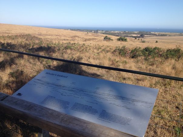 A view of a sign providing information of the view ahead