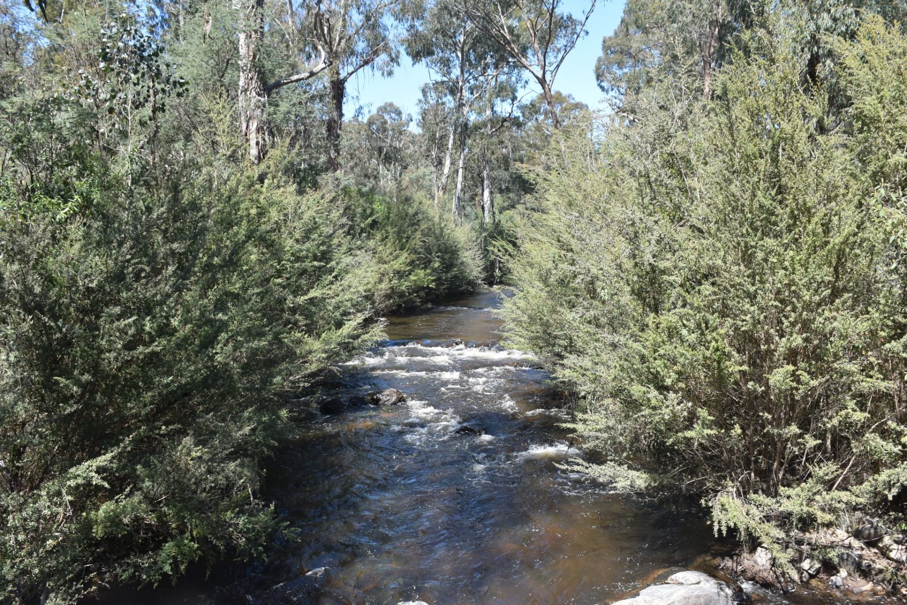 The Murrindindi River