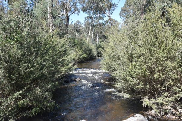 The Murrindindi River