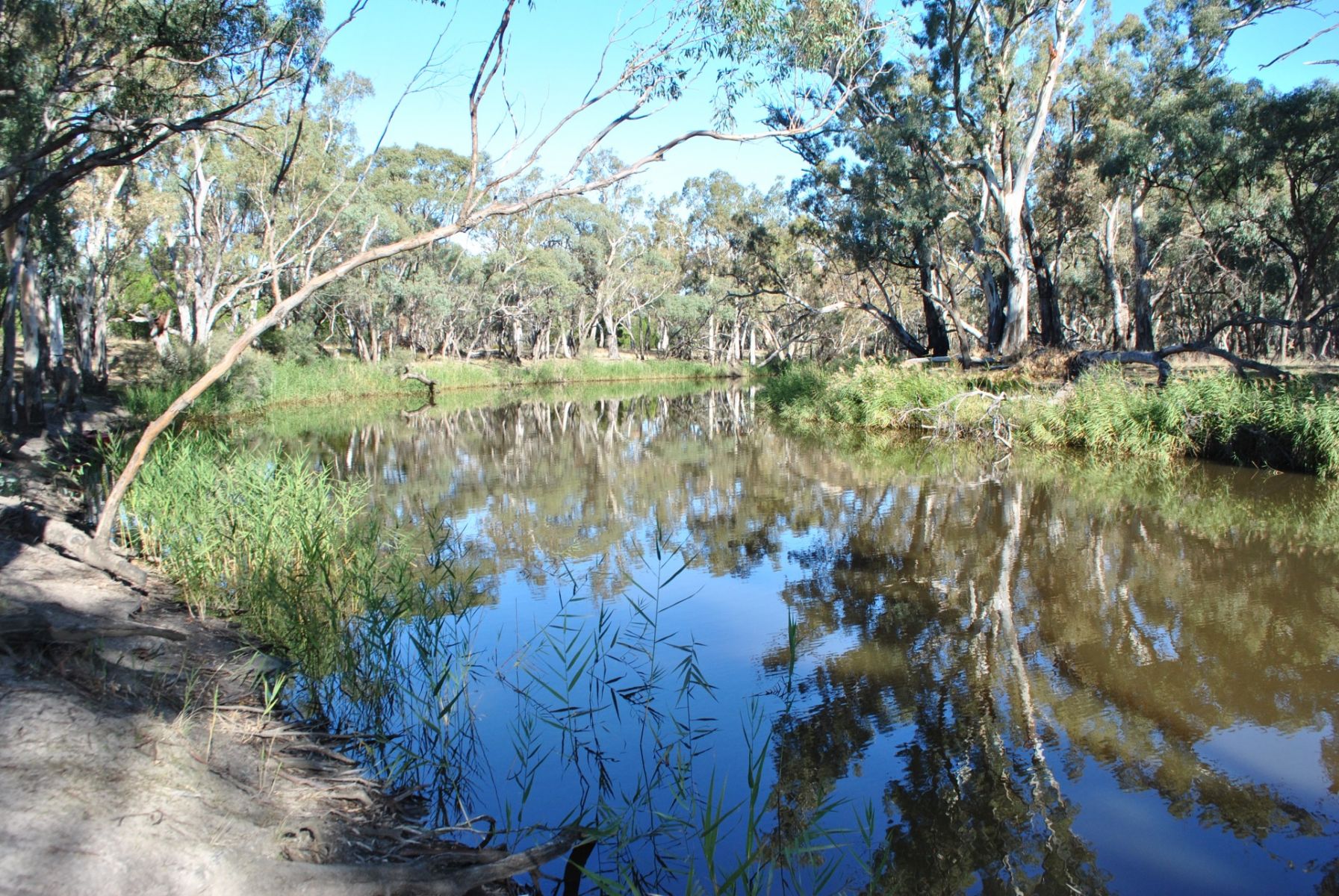 A calm river with trees on each bank