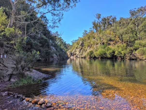 A calm and picturesque swimming hole surrounded by trees