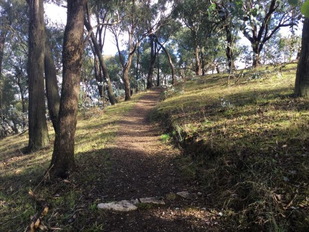 A dirt walking trail leads up a hill through trees