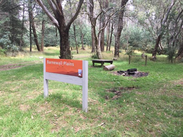 A sign on a grassy area reads Barnewall Plains