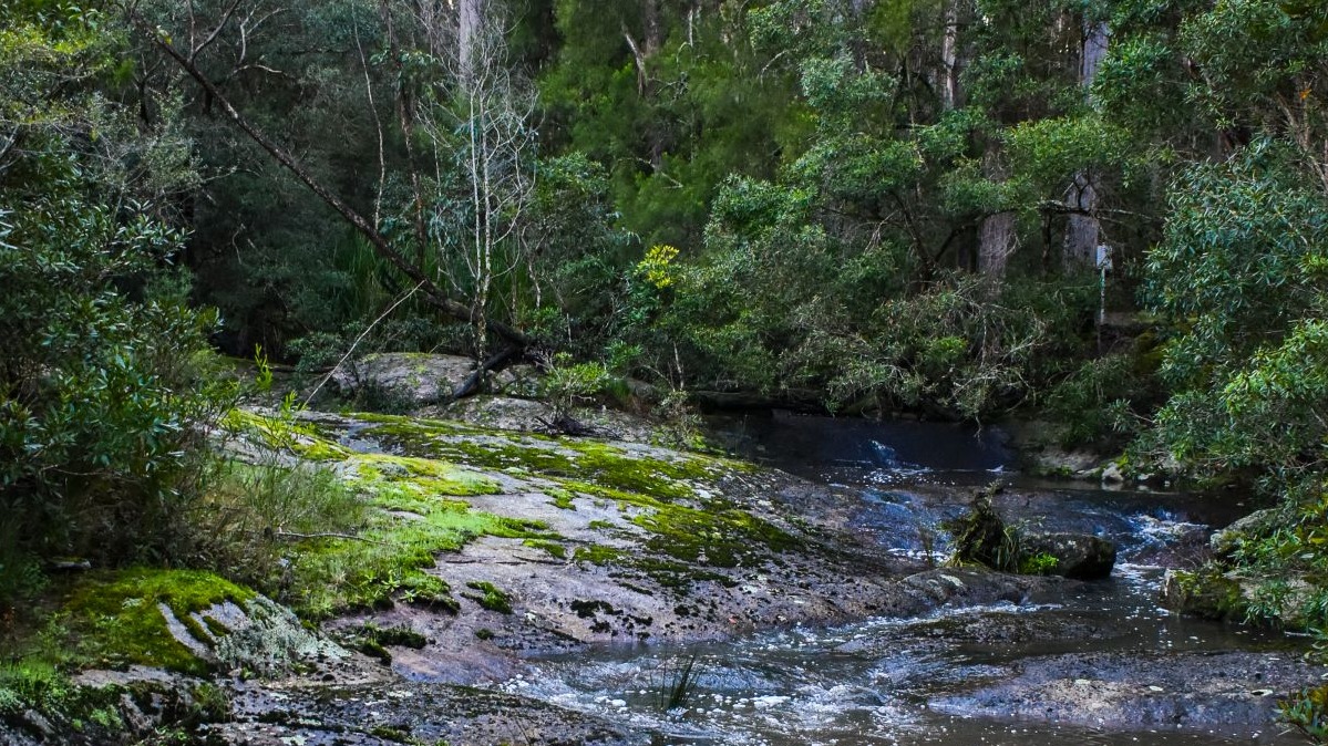 Little Cabbage Tree Creek Falls