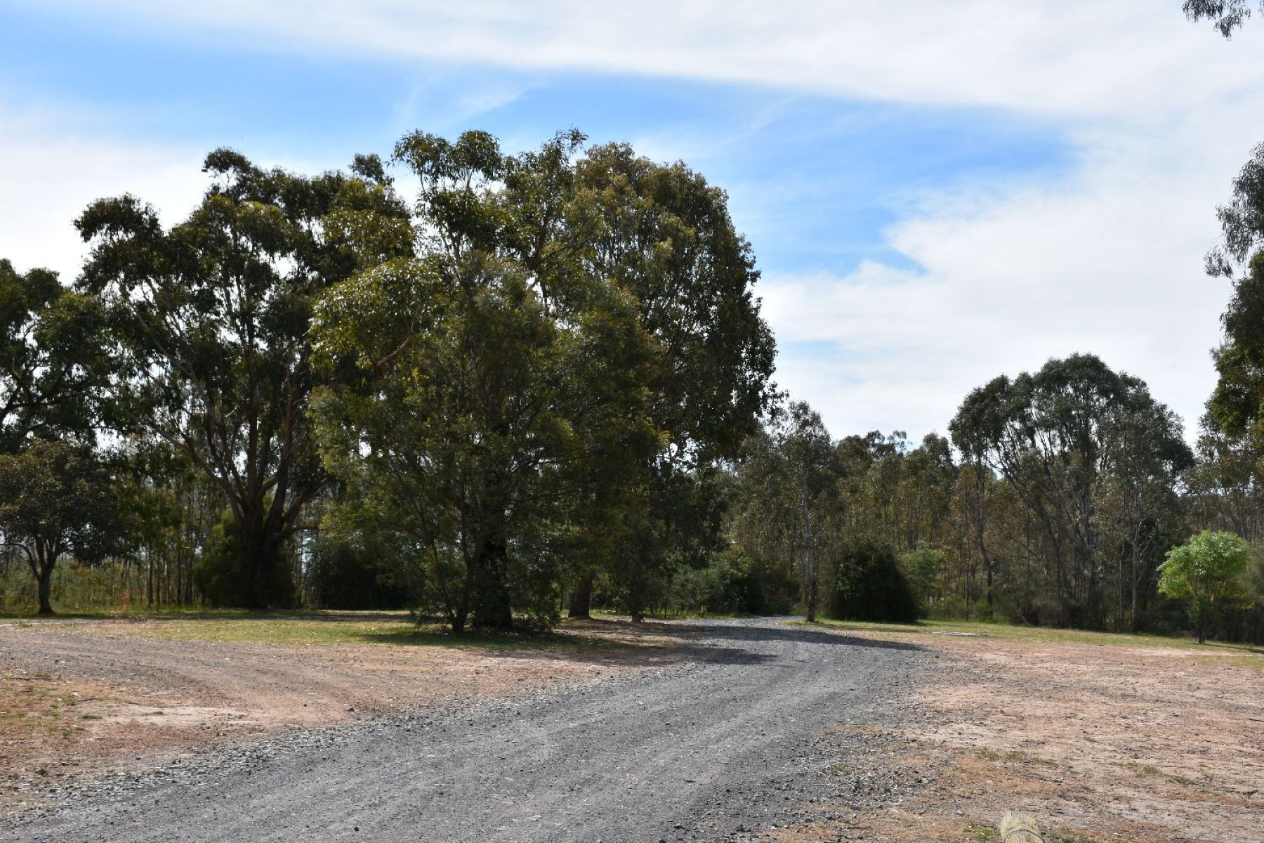 Native forest and shoreline where the island is situated. Gravel road sweeping around towards trees. 