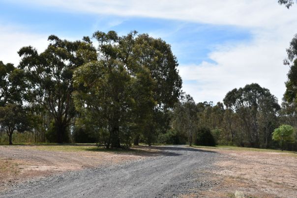 Native forest and shoreline where the island is situated. Gravel road sweeping around towards trees. 