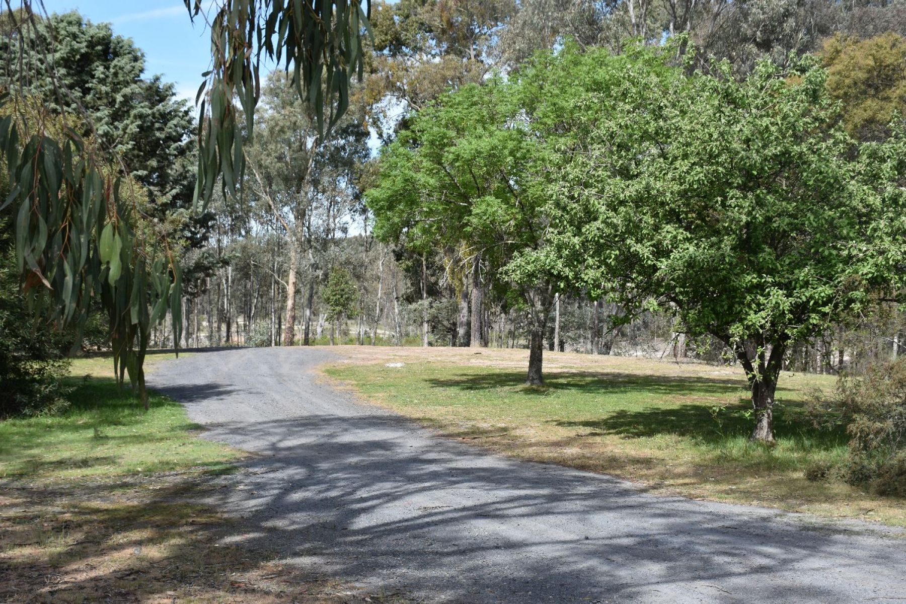 A gravel track leading into the campsite with lots of trees providing shade