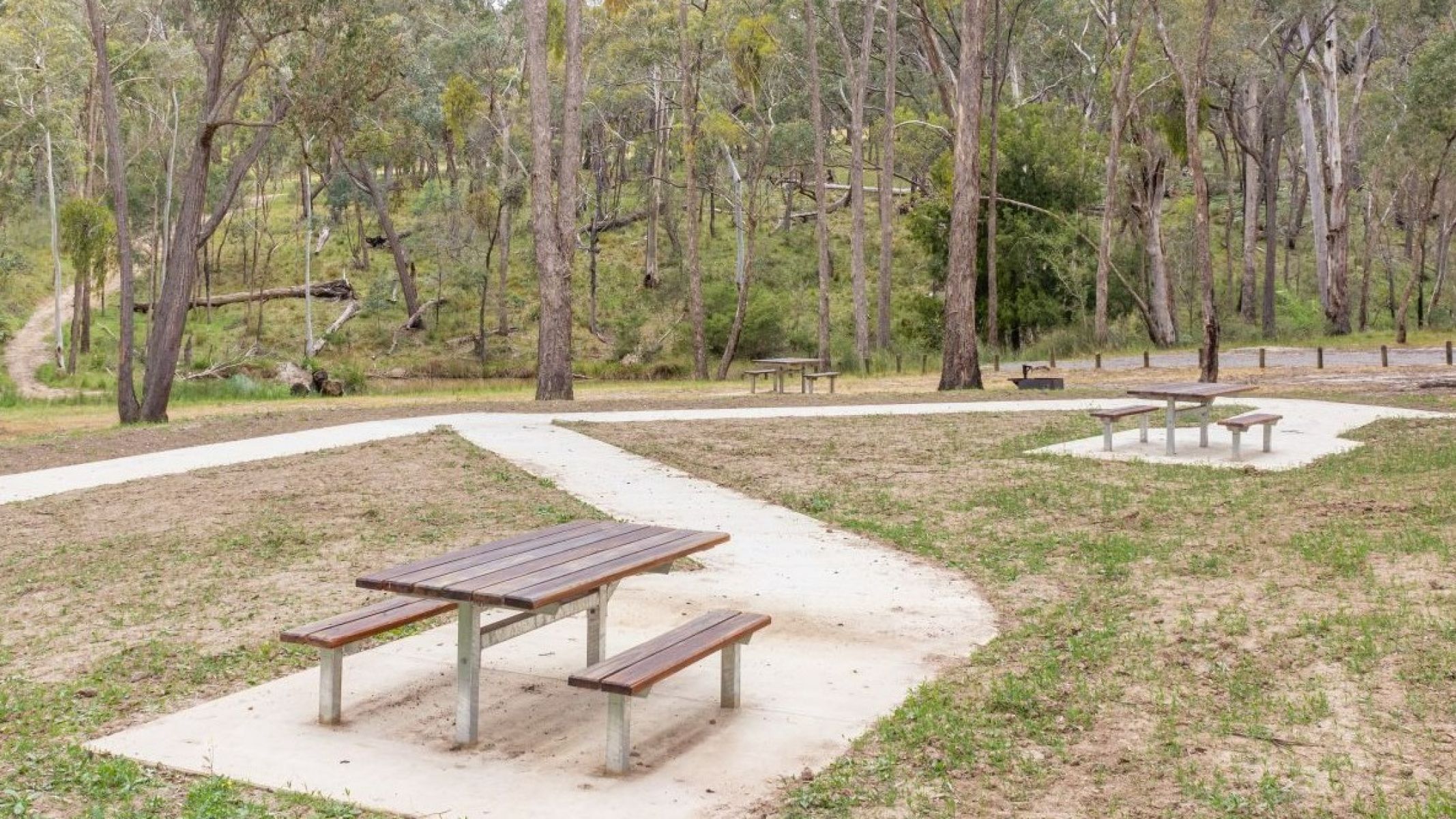 Pathways lead up to two wooden picnic tables in a grassy area. The area is surrounded by tall gum trees