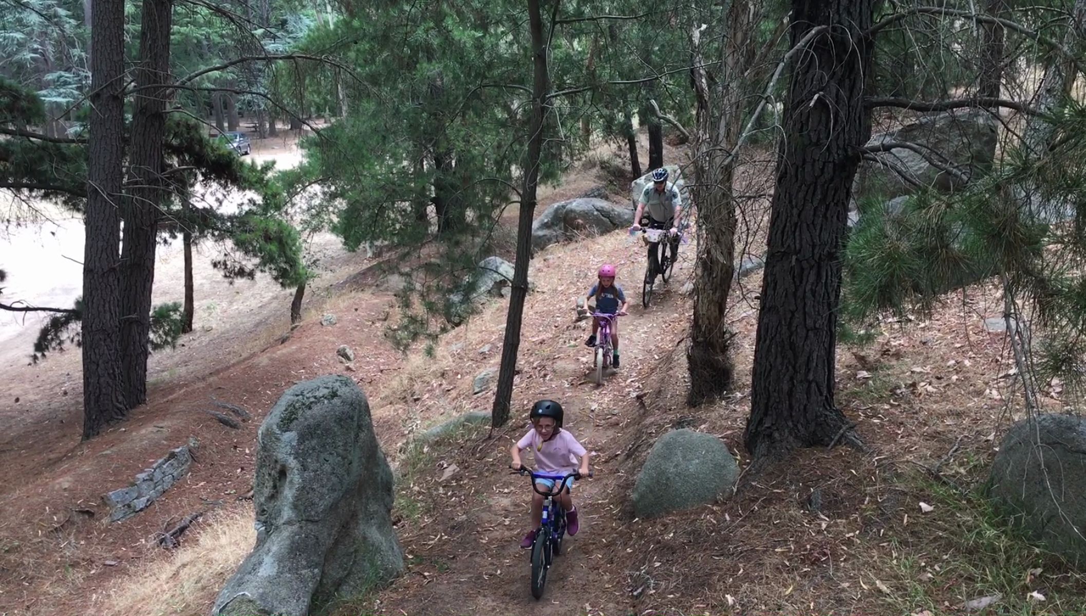 Two children and a man riding bikes through the forest