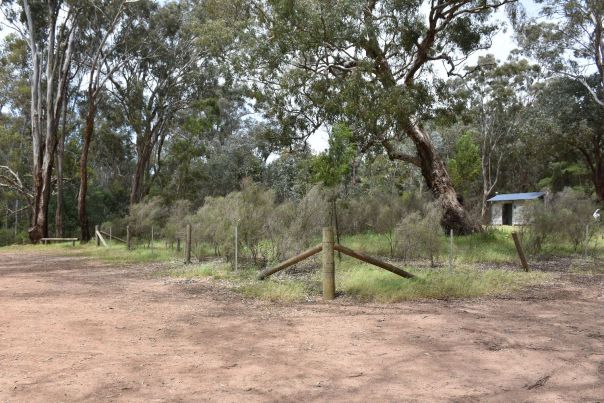 A view towards the back of the campground, away from the shoreline, to the amenity block