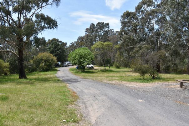 The gravel track leading into the campground with lots of parked cars at campsites. 