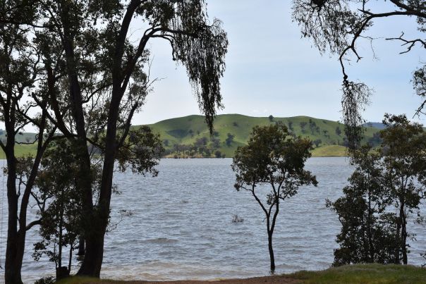 A view through the trees looking over Lake Eildon at the hills in the background