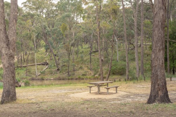 A wooden picnic table overlooks a creek lined with tall brown trees. The water looks still. 