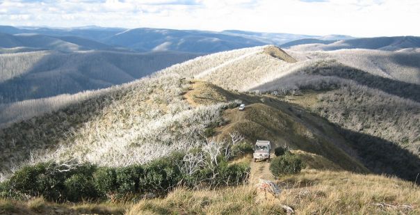 4WD vehicle driving through Victoria High Country