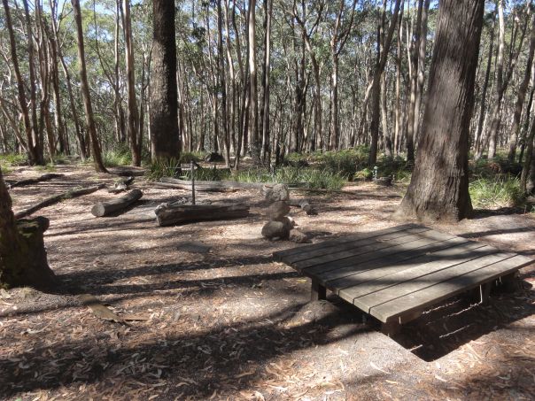 A campground with basic facilities surrounded by tall forest