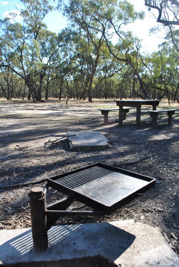 A fire pit and a picnic table at the campground