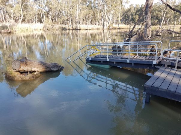 An all-abilities canoe launcher at Gunbower Creek