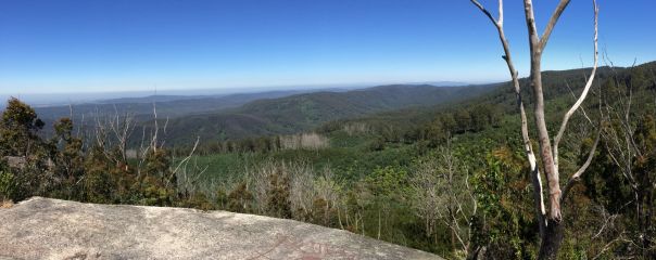 Vast views from a rocky outcrop over forested hills below
