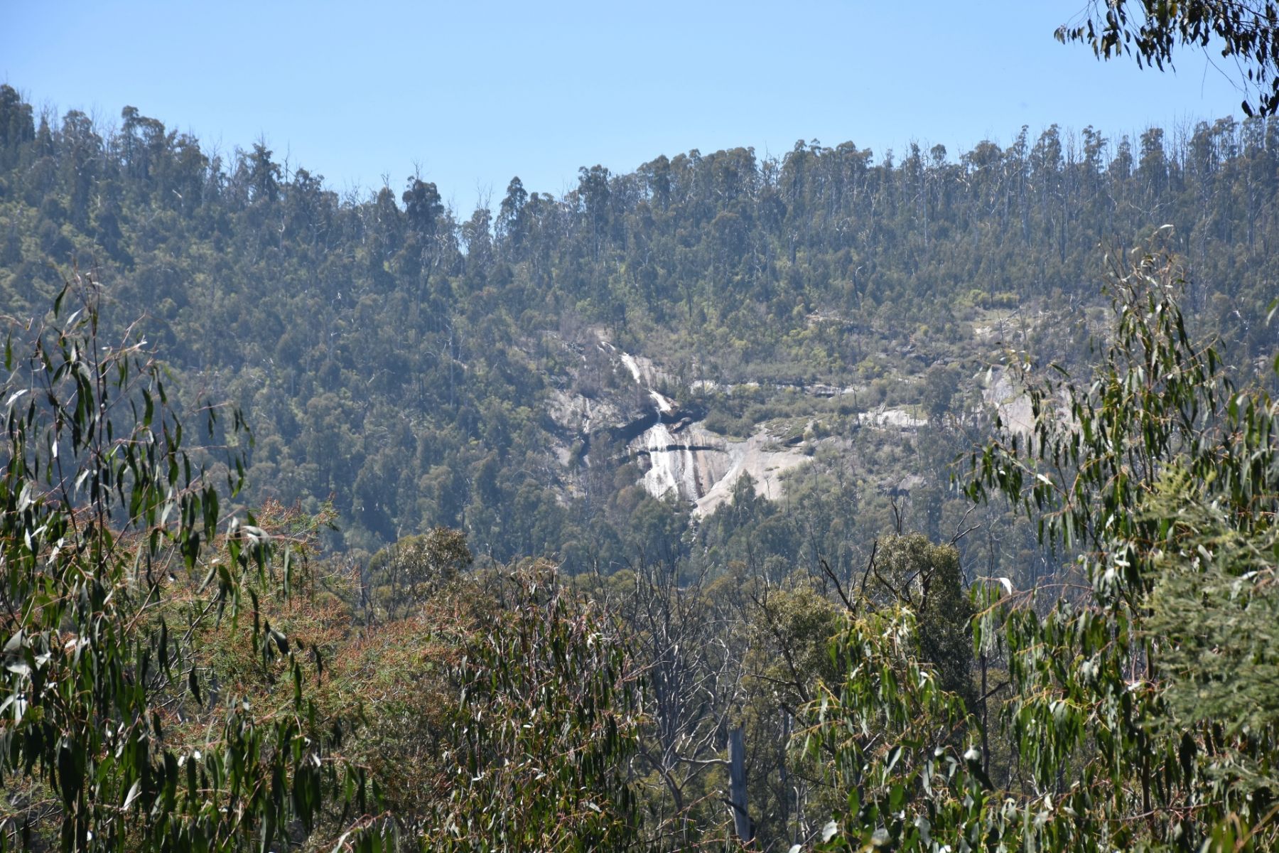 A view through trees to a rock face and waterfall on the opposite hill
