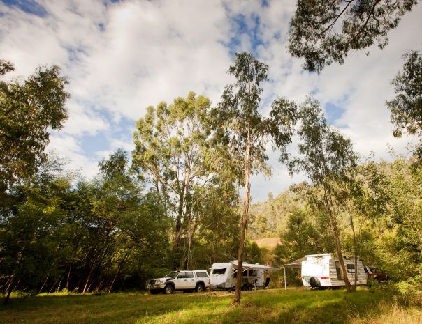 Two caravans set up in the bush