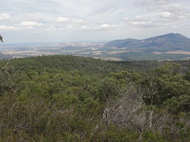 A vast view over forest to surrounding plains and hills in the distance