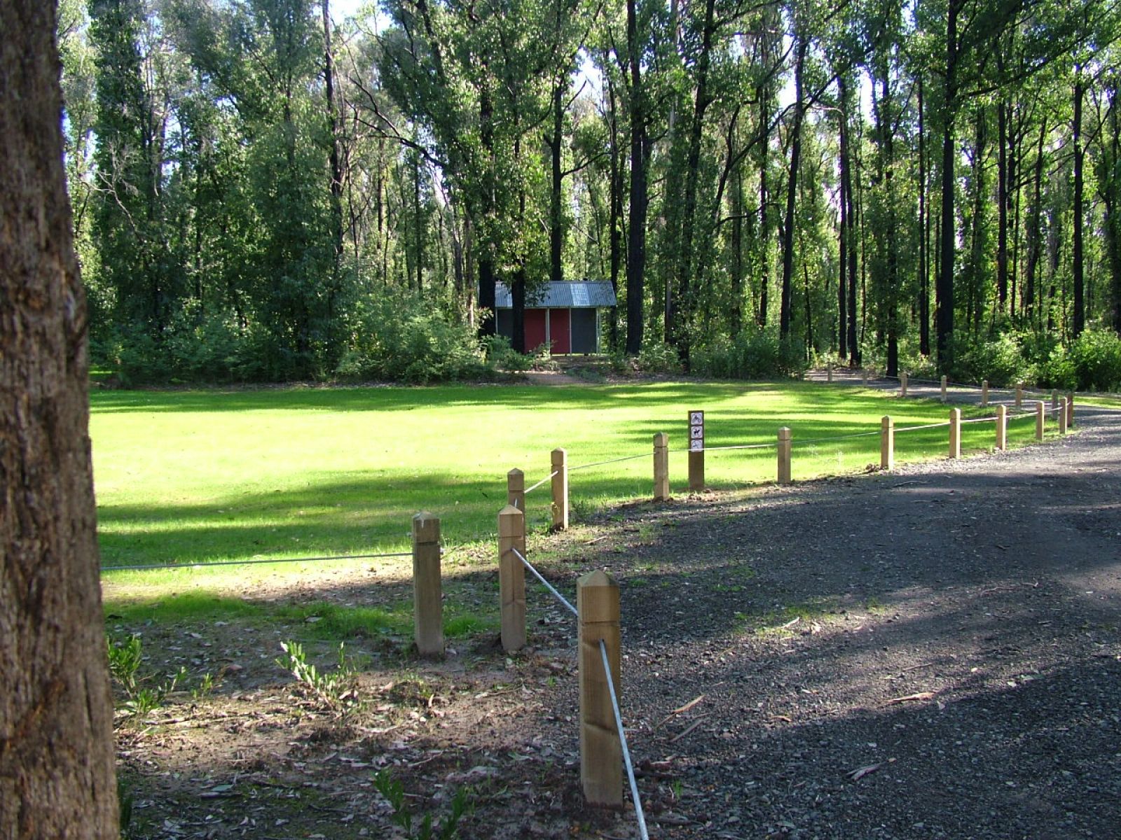 A grassy campground with a dirt road curving to its right