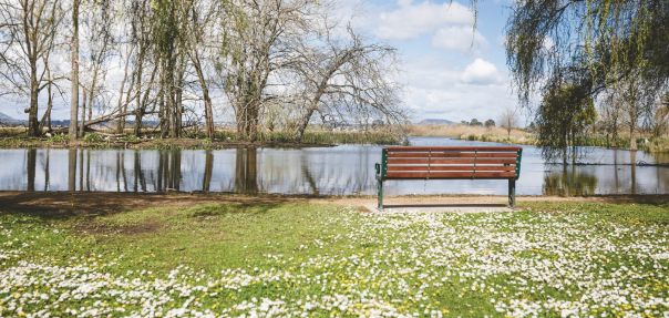 A park bench with a view to a lake