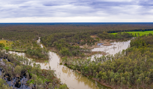 An aerial view of a river flowing through green grassland and bush