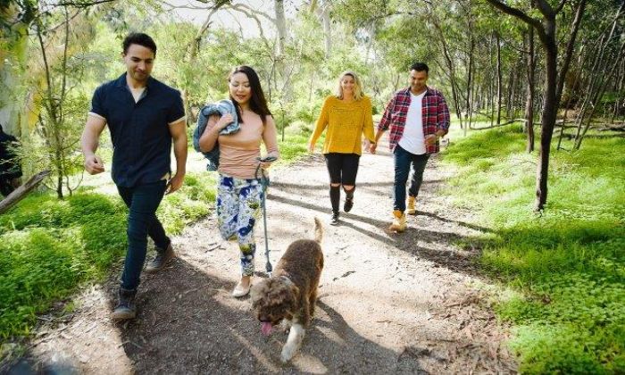 A group of friends walk their dog through a park