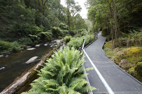 A wide metal walkway runs along a clam, rocky river. It is surrounded by lush green ferns.