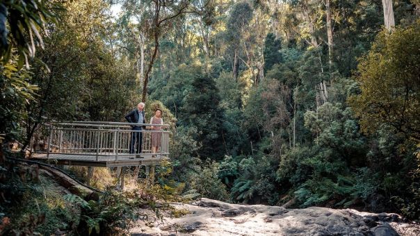Two people on a platform over waterfall surrounded by forest