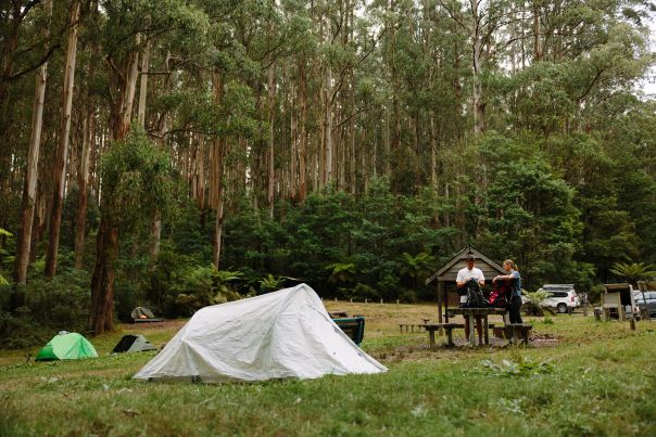 A white tent in an open grass clearing
