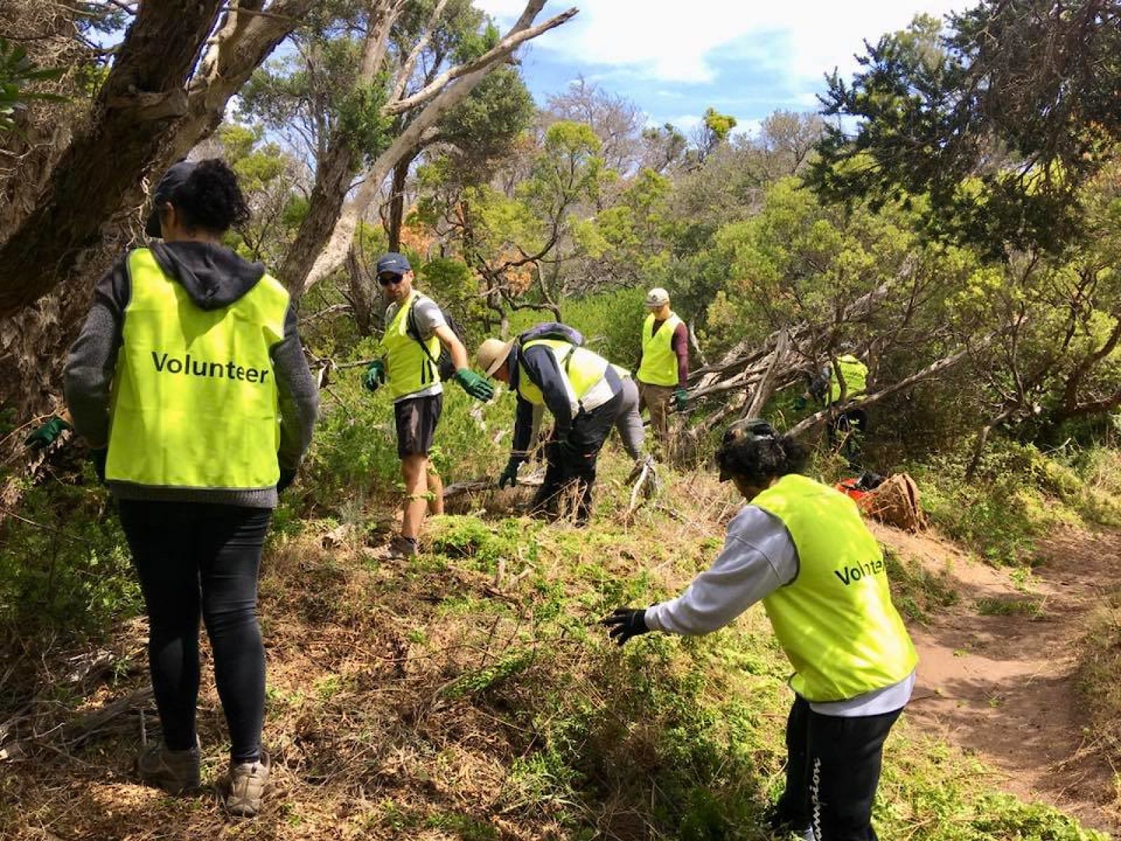 Volunteers working to clear a rural path 
