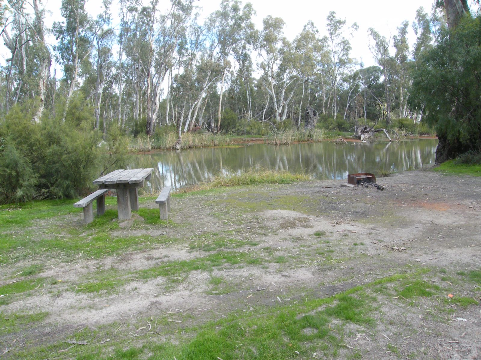 A picnic table on the banks of Gunbower Creek