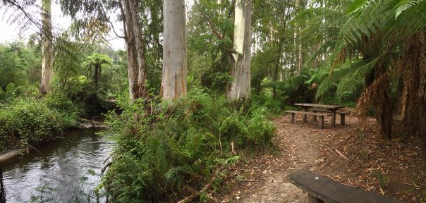 A picnic table sits on the banks of Loch River