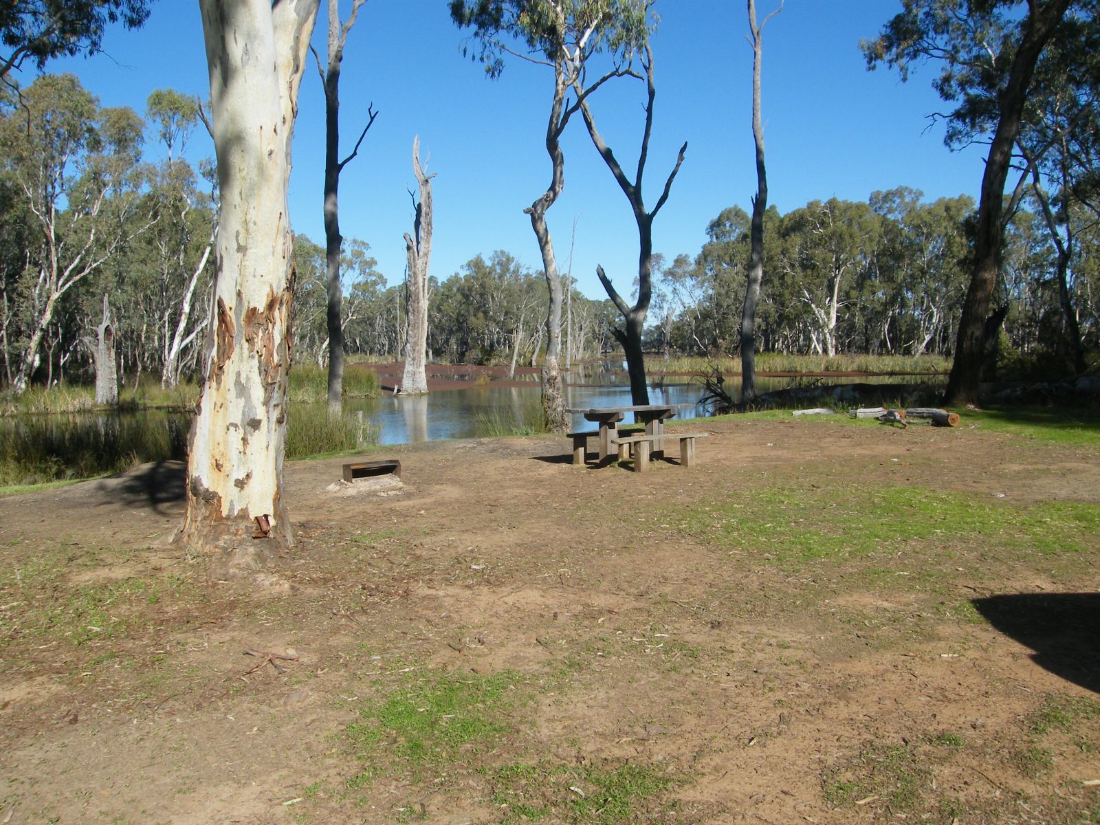 A flat dry dirt area with a picnic table and wood-fired BBQ next to a creek
