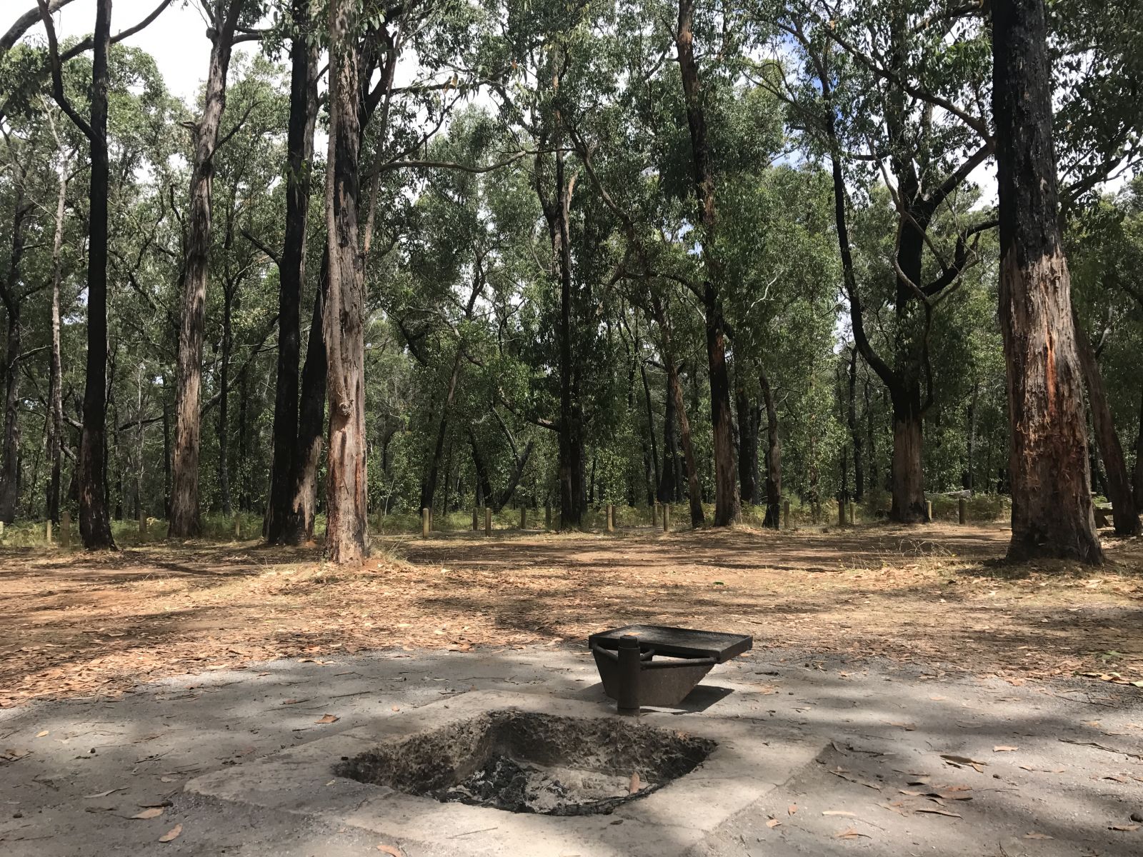 A fire pit and BBQ in a campground