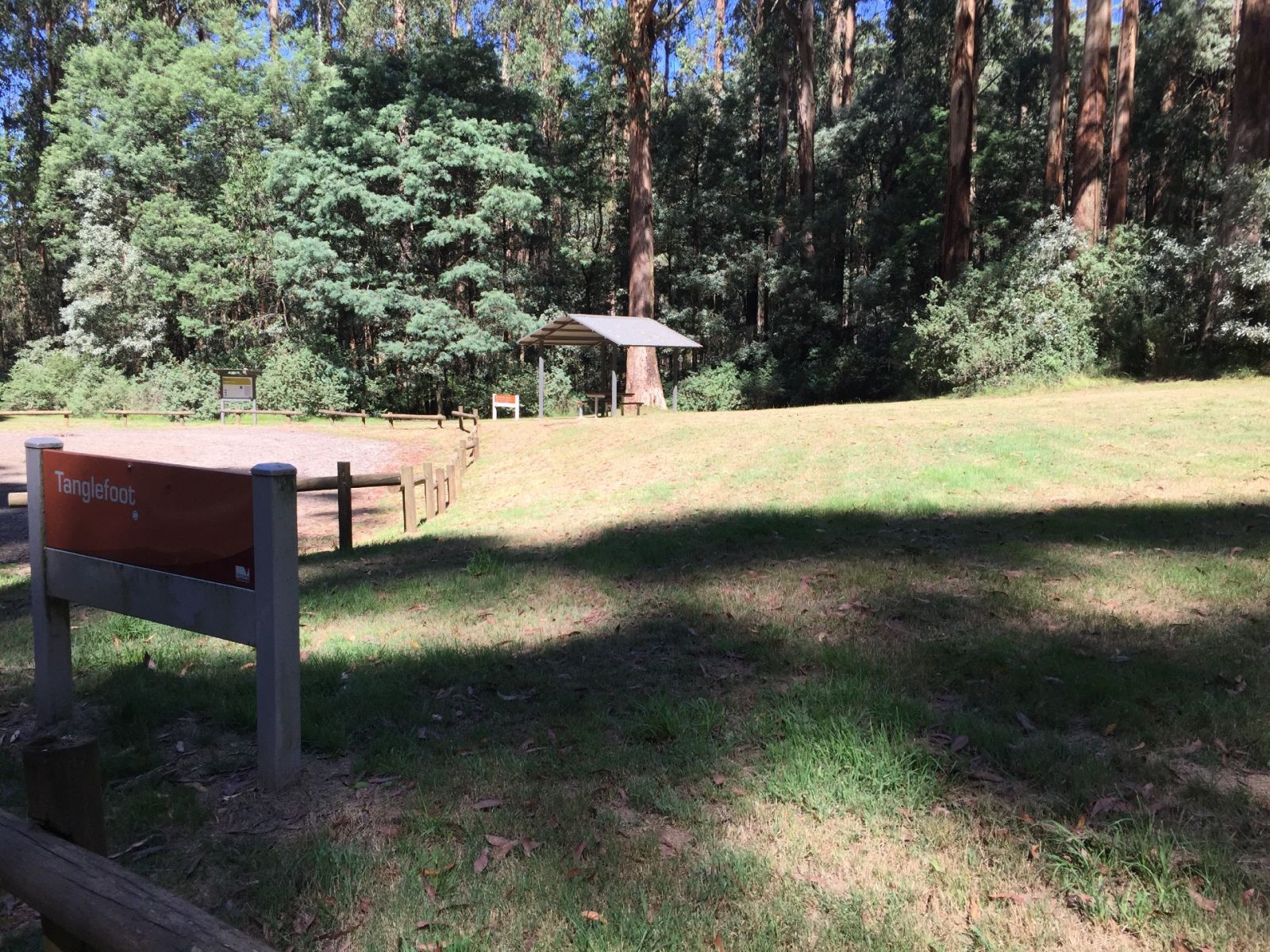 A large grassy picnic area with a sign that reads Tanglefoot